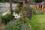 John and Cynthia's garden