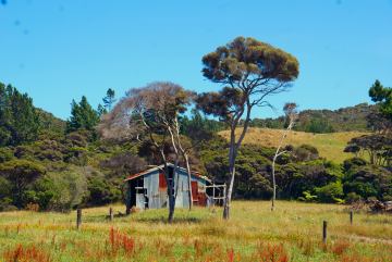  so it's just a rusty shed but it's very typical of rural New Zealand