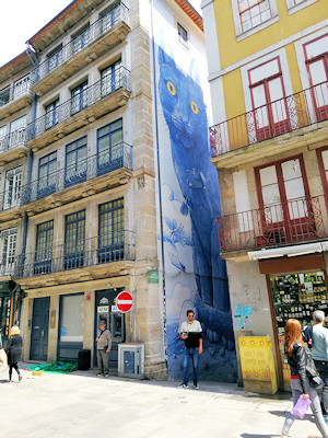 Cat mural in Porto, Pokéstop