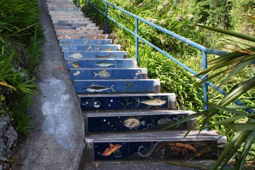Tiled staircase in Whakatane