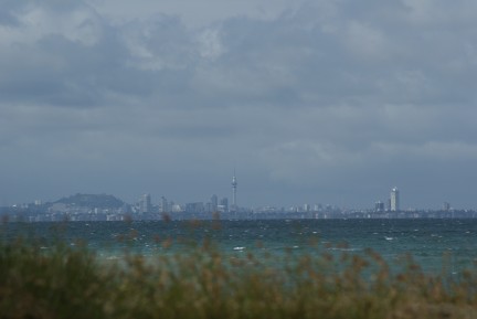 Sky Tower and the Spencer from Shakespear Park