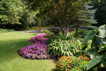 Napier Botanic Gardens