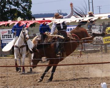 Rodeo Richmond 2013