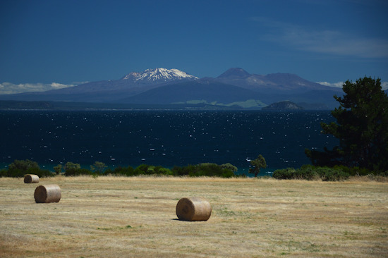 Taupo
