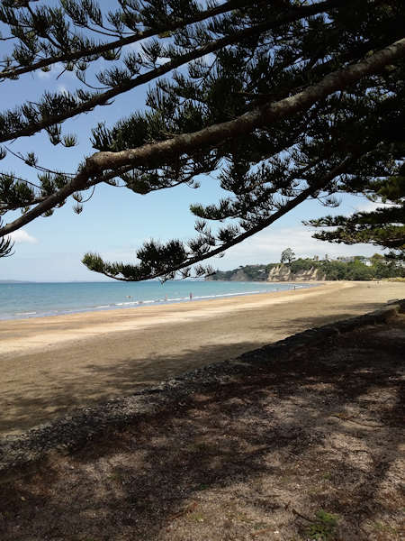 Browns Bay